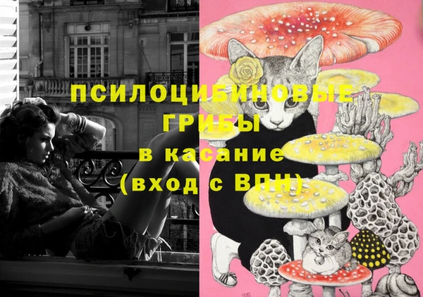 первитин Абинск