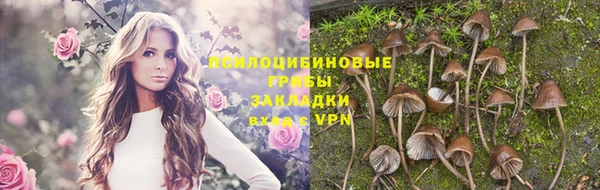 jwh Абаза